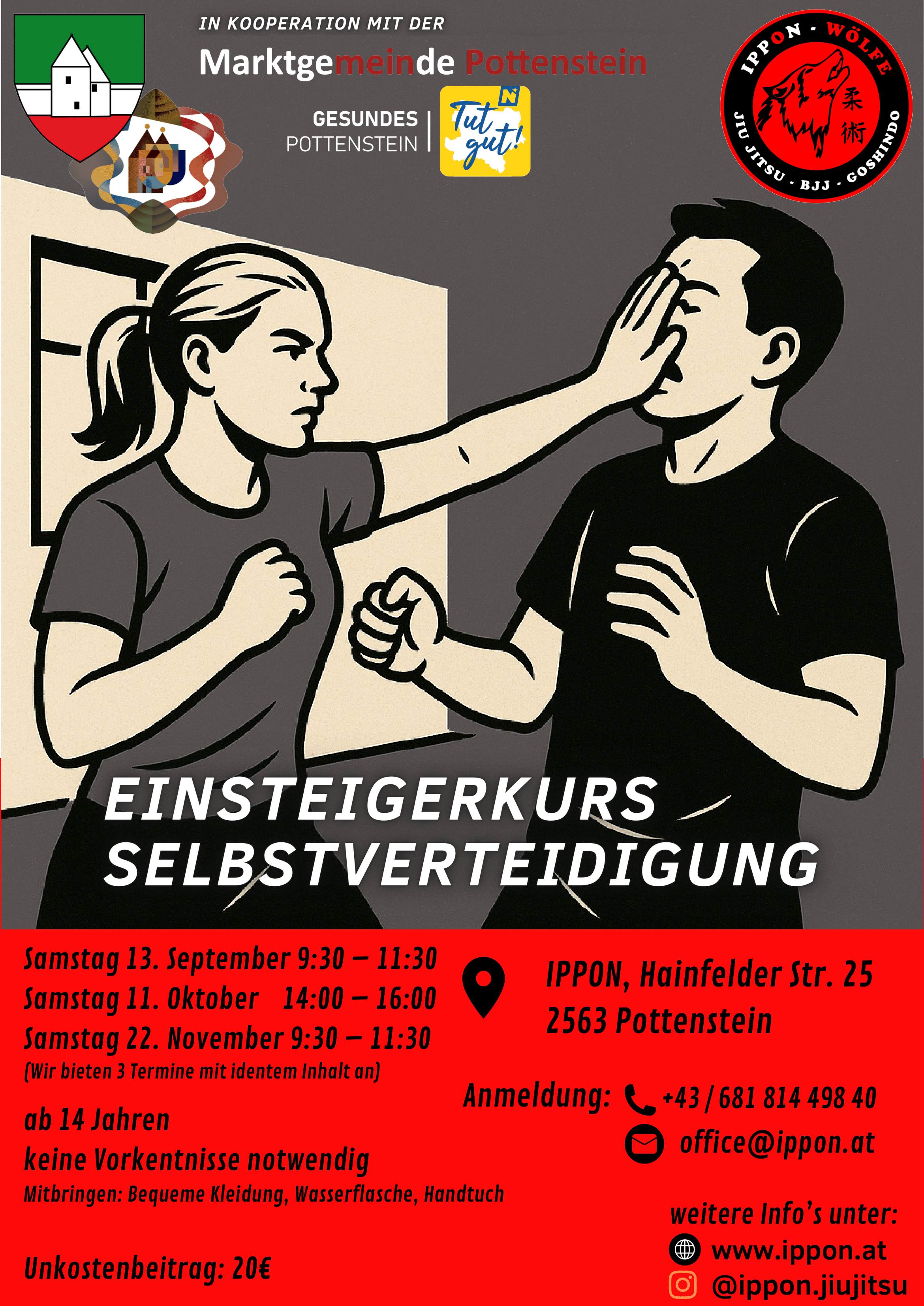Flyer: Selbstverteidigungskurs - Level Einsteiger